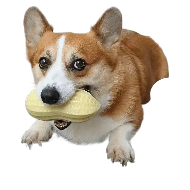 A yellow TPR tumbler toy for dogs and cats, part of a soft rubber pet toy assortment
