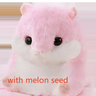 Pink hamster with melon seeds