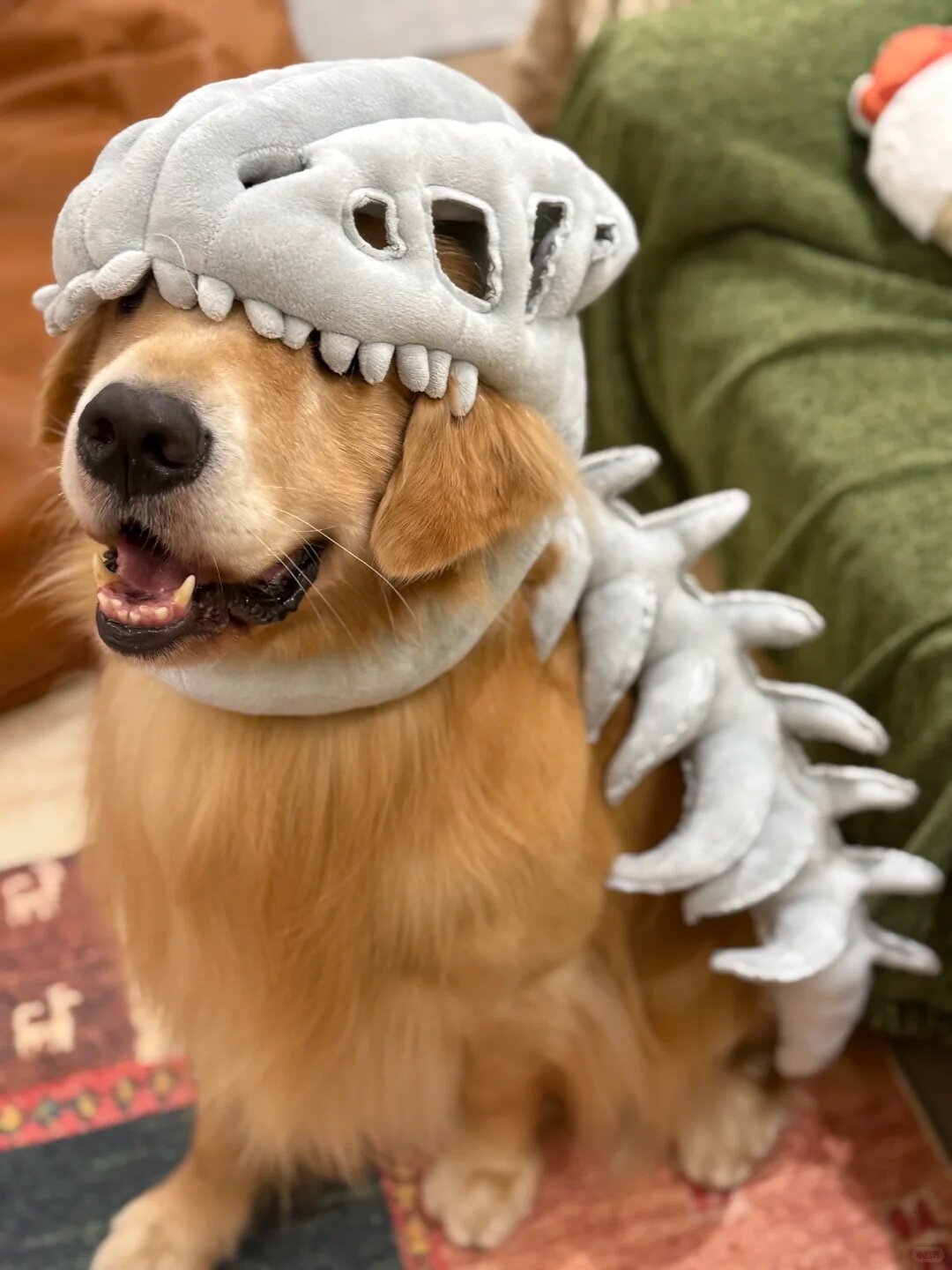 Golden retriever wearing a gray plush dinosaur skull hood with a padded skeleton spine along its back