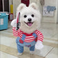 Pet Costume