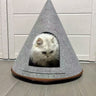 Cat bed with cushion