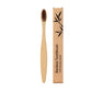 Set of bamboo toothbrushes in assorted bristle colors for the family