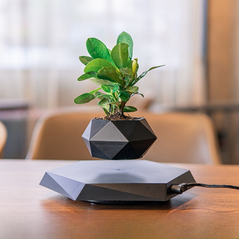 Black faceted floating planter with a green artificial plant hovering above a base on a desk