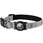 Holder attached to a rabbit harness on a small leash