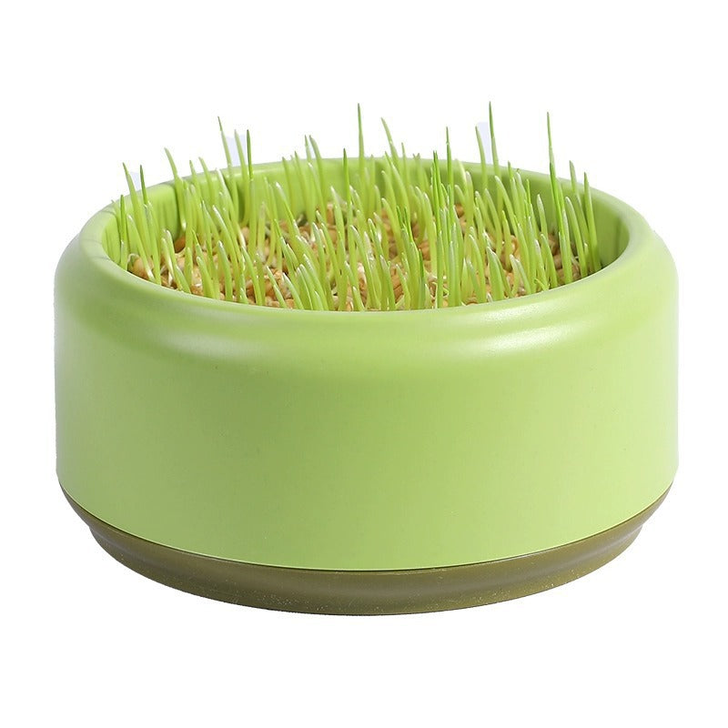 Cat Grass Potted Seeds Soilless Hydroponic Catnip Growing Kit Kitten Snack Supplies
