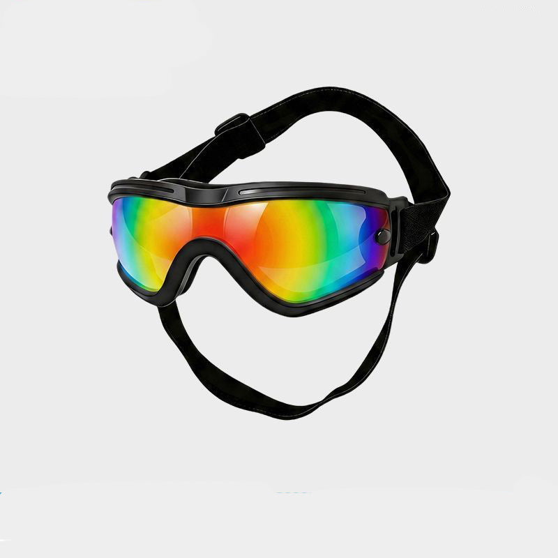 Dog goggles with a clear lens for wind and debris protection on rides