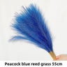 Peacock Blue 10pcs