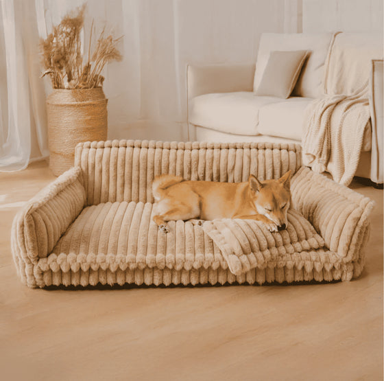 Plush Pet Sofa Bed for Cats and Dogs