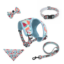 Summer Watermelon Dog Harness Set