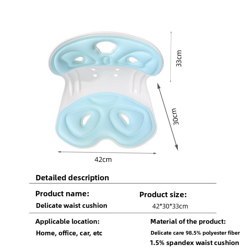 Lumbar Support Cushion | packaging shot