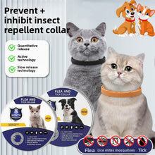 Adjustable Essential Oil Pet Collar for Cats and Dogs