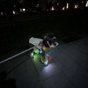 Side profile of the clip-on dog collar light showing the back clip