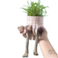 Resin lower body planter shaped like a dog body with a grid skirt holding a fern