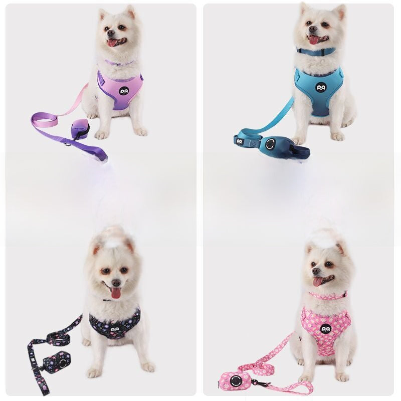 Four small dogs each wearing the padded harness with a matching leash in a different colourway