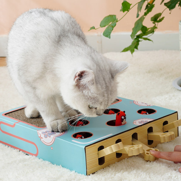 Silver cat pawing a groundhog cat toy while a hand pushes the side paw sticks to pop up the heads