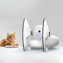 Automatic Cat Feeder with Camera, Face Recognition and Six Compartment Tray