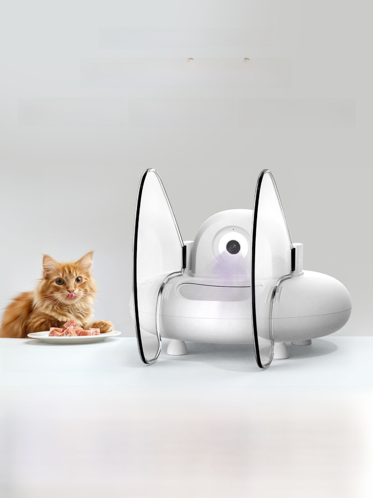 White UFO shaped automatic cat feeder with camera dome and two clear side shields beside an orange cat and a plate of food