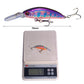 Luya Hard Bait Crankbait