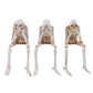 See no evil resin skeleton figurine covering its eyes