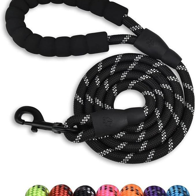 Braided nylon rope dog leash coiled with a foam padded handle loop and a metal swivel snap hook