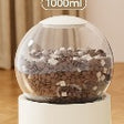 Feeder White Round