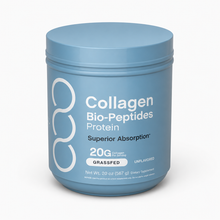 Collagen Powder Supplement