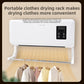 Wall Mounted Dual Function Heater with Remote Control