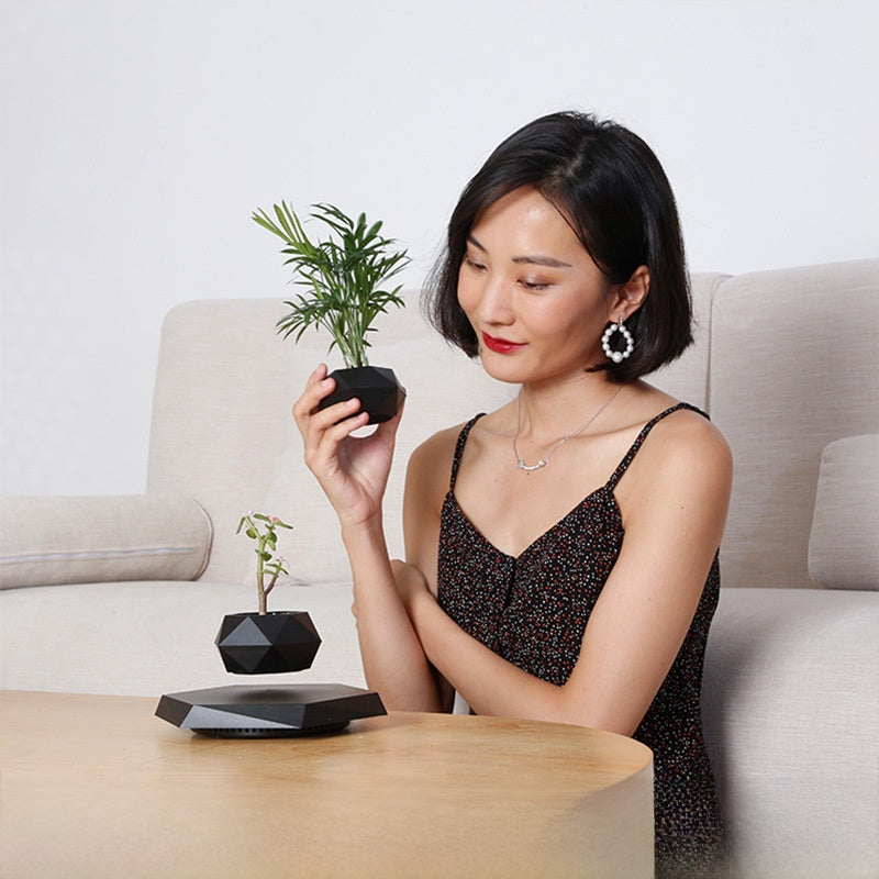 Magnetic levitation floating planter in matte black holding a green artificial plant