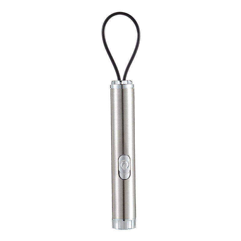 Stainless steel laser cat teaser pen with a black lanyard loop standing upright on a white background
