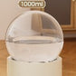 Pet Feeder