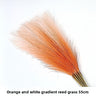 Orange-White Gradient 10pcs