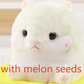 Hamster Plush Pillow Blanket Set