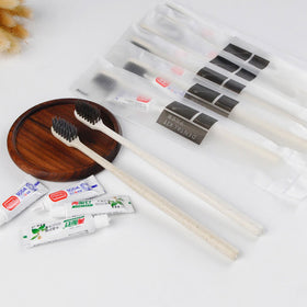 Disposable Toothbrush and Toothpaste Travel Set