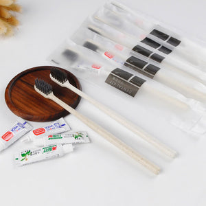 Disposable dental kits with charcoal bristle straw toothbrushes, toothpaste tubes and frosted pouches