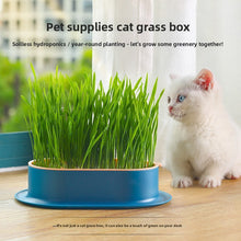 Cat Grass Hydroponic Growing Box Pet Snack