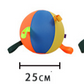 Colorful paneled inflatable dog ball with grab loops in the 25 cm size