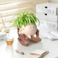 Resin smiling face planter in a rocking chair holding a spider plant on a desk
