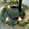 Star Vine / 3m20Leds BatteryBox