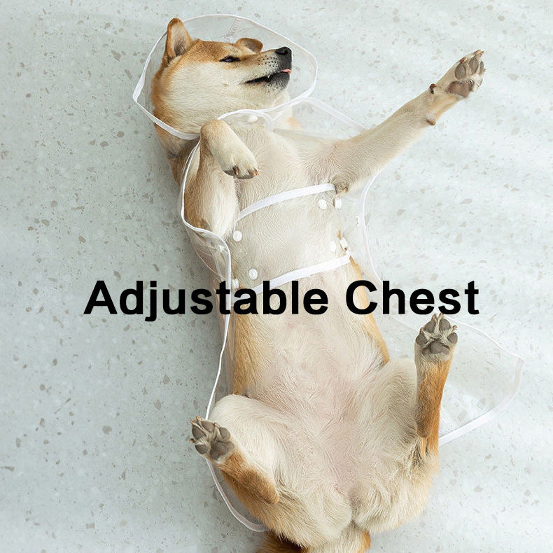 Light coated dog lying down in the clear EVA rain poncho, showing the adjustable belly chest strap