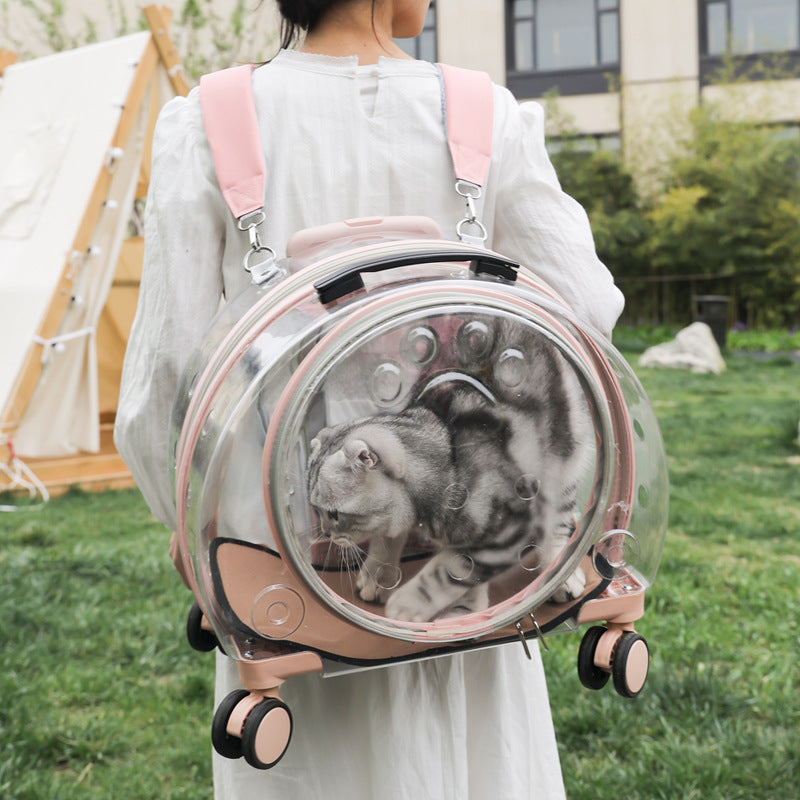 Woman wearing the pink and clear bubble pet carrier as a backpack with a cat looking out