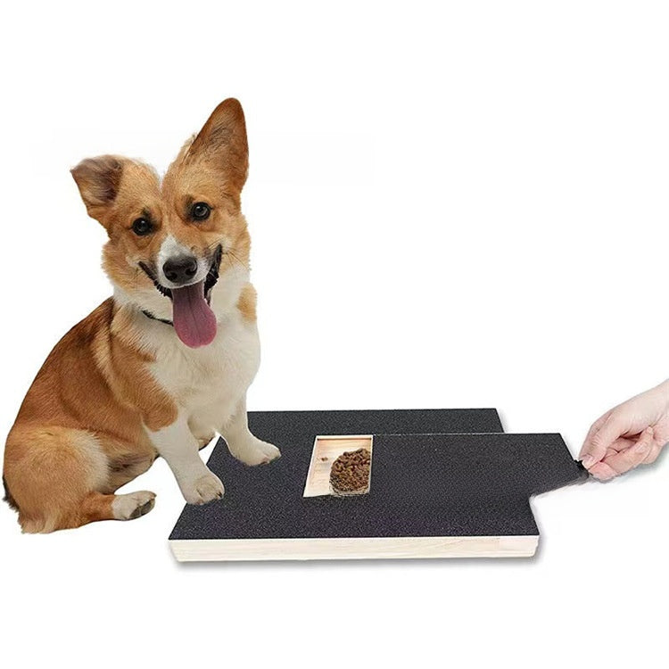 Corgi dog sitting beside the pine nail grinding board with a treat tucked in the center slot