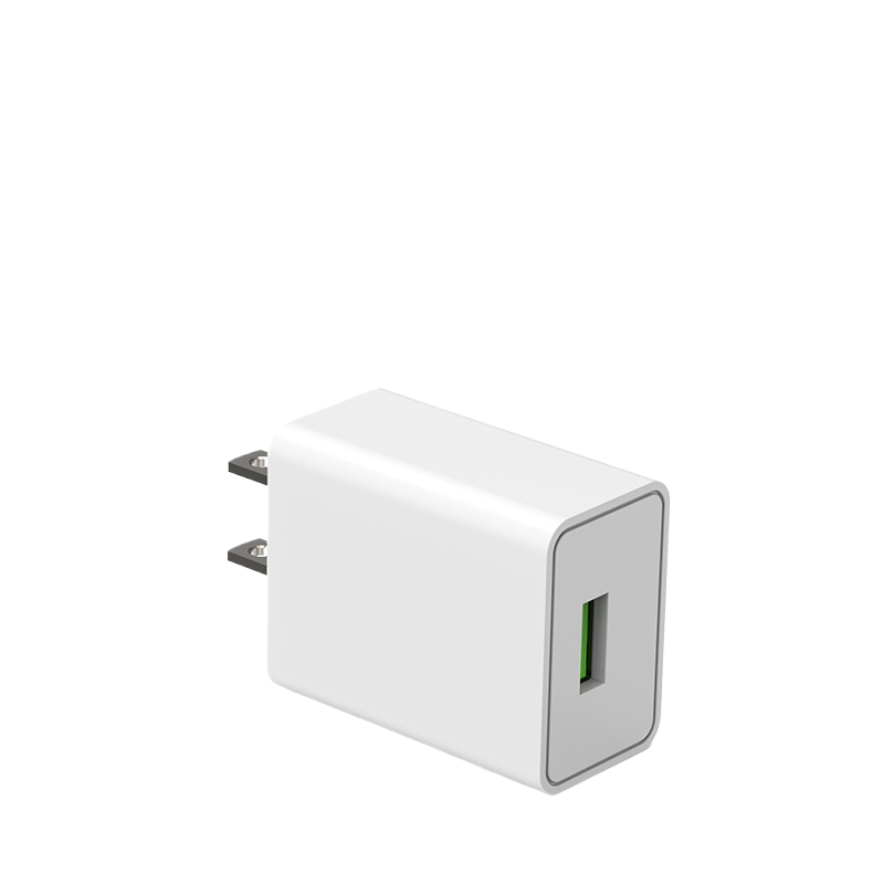10W USB wall charger held in hand for size reference