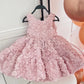 Front view of the pink rosette princess party dress with fitted bodice and full skirt