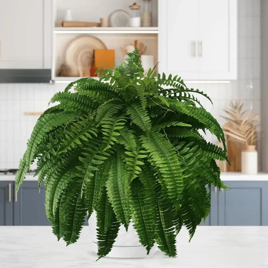 Unlit artificial Boston fern in a white pot on a kitchen counter, no light, 24 heads option