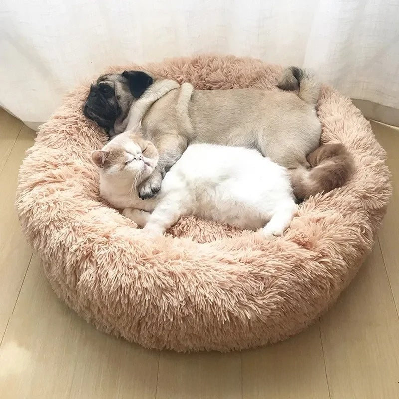 A dog and a cat resting together in a round plush pet bed with a raised rim