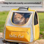Yellow ventilated cat carrier backpack with a ginger cat looking out through the clear front window