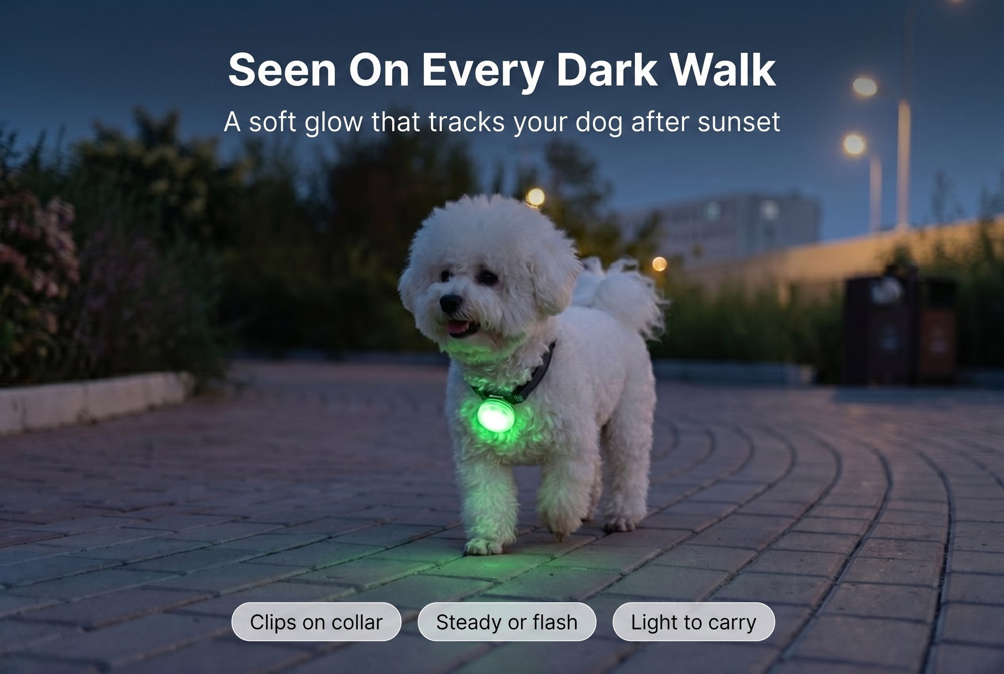 led-pet-safety-light-for-dogs after solution lifestyle