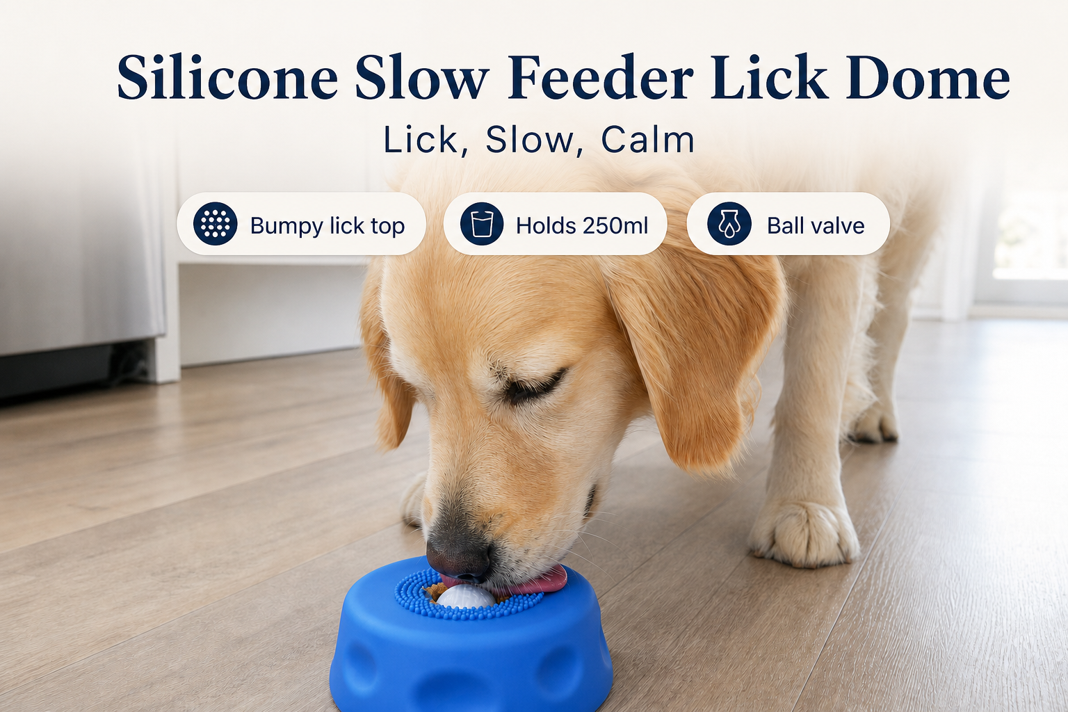 slow-feed-bowl after solution lifestyle