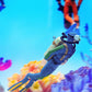 Aquarium Ornament | front product view