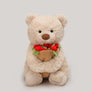Plush Teddy Bear